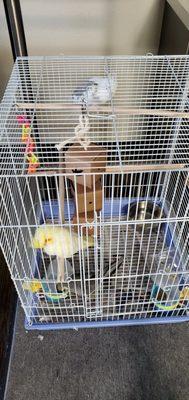 Affordable Suites of America