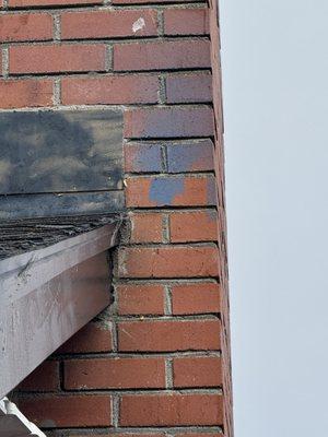 Handyman Roger Michael