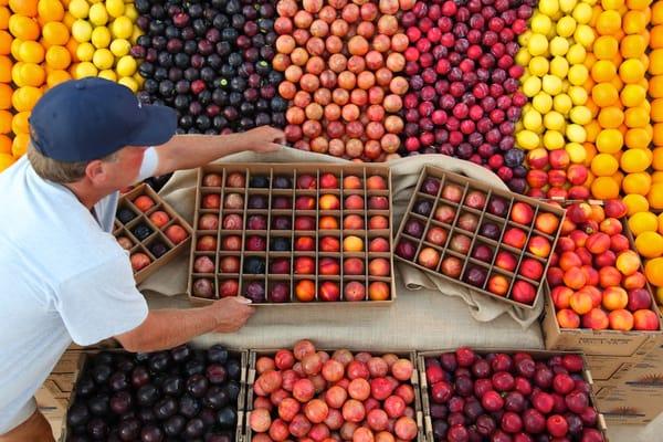 Organics Home Delivery