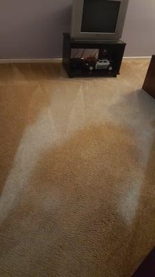 The carpet dried really fast