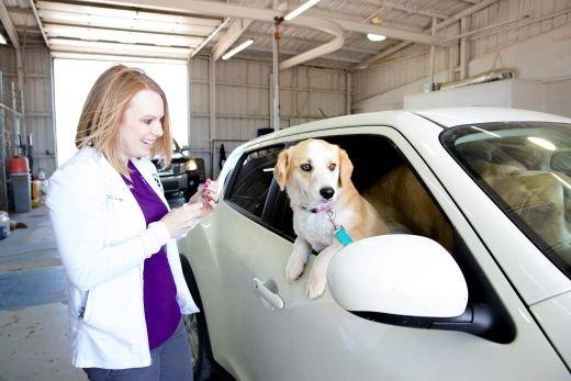 Ada Veterinary Clinic Inc