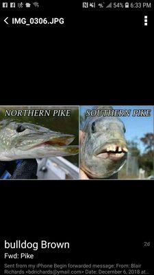 Safety Equipment Direct