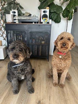 Grow out after three months