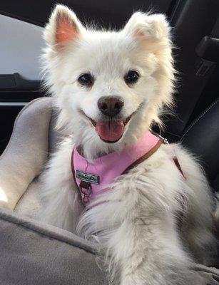 Johnson Veterinary Clinic