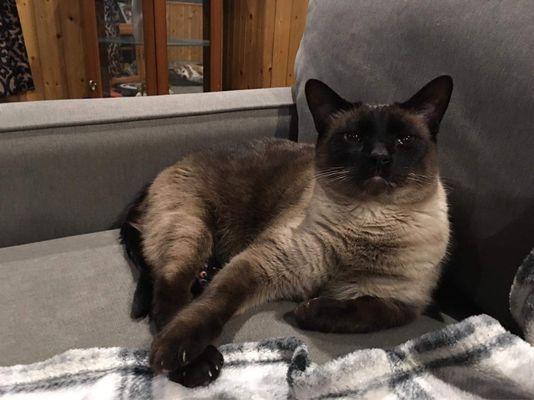 Dawson Veterinary Clinic