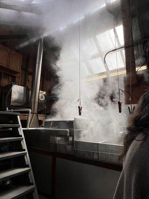 Balsam Ridge Christmas Tree Farm