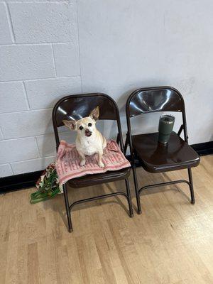 Awe, My Little Cheerleader, On the sideline... #PickleBall