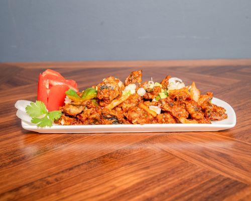 House of Biryanis and Kebabs Lawrenceville, NJ