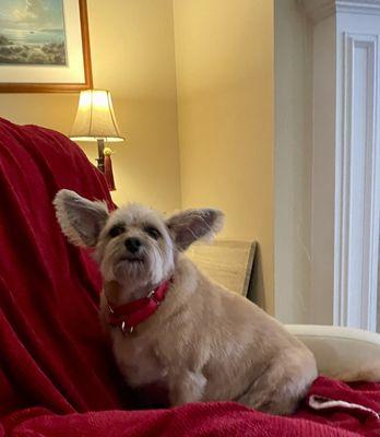 Layla looking so pretty!