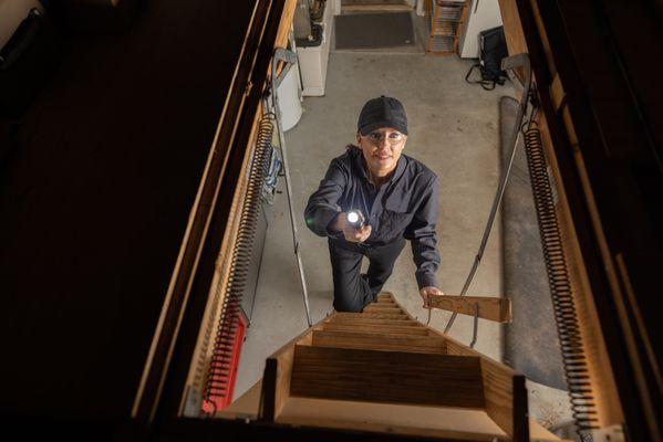 Sandwich Isle Pest Solutions