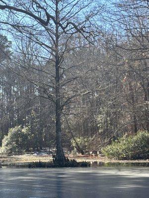 Bethel Recreation Area