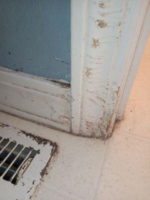 Competition Construction and Paint