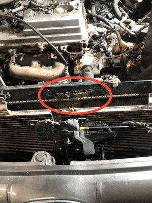 Reason for Repair: Radiator cracked wide open leading to severe overheating and total engine failure