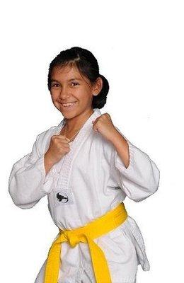 Masters Taekwondo Academy