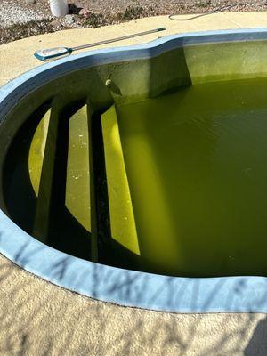 Moore Pools and Spa's