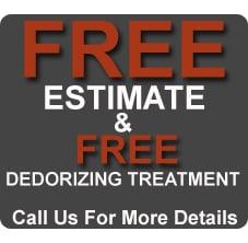 Affordable Carpet and Upholstery Cleaning