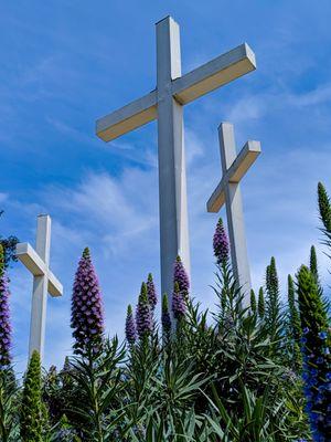 Orchard Community Church