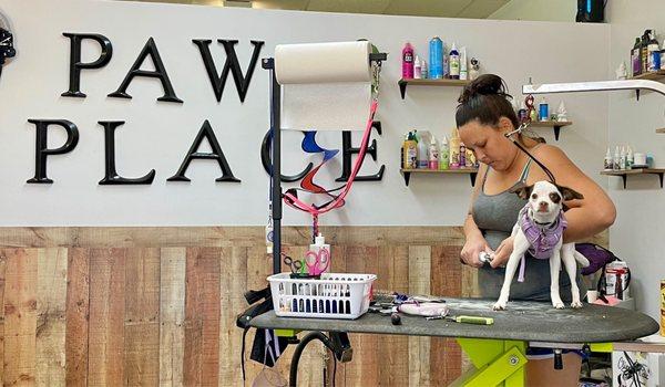 Paws Place Grooming