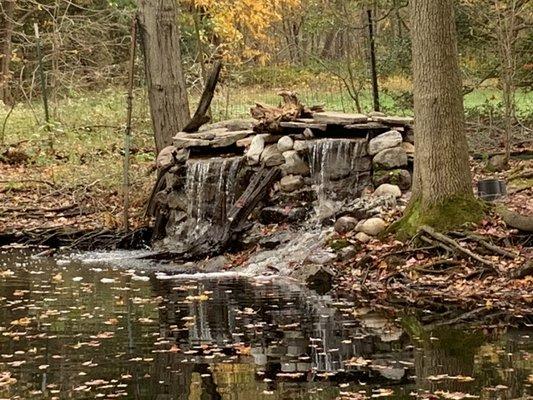 Larger pond double falls