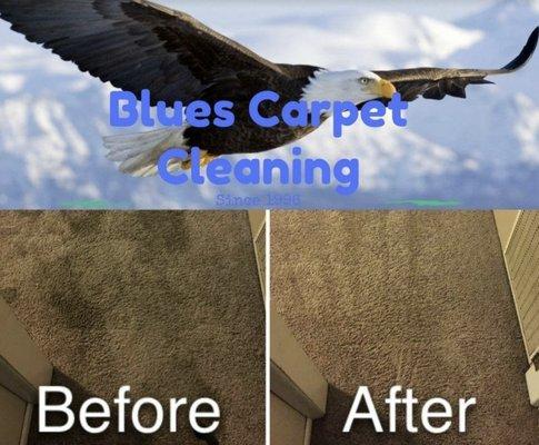 Blues Carpet Cleaning