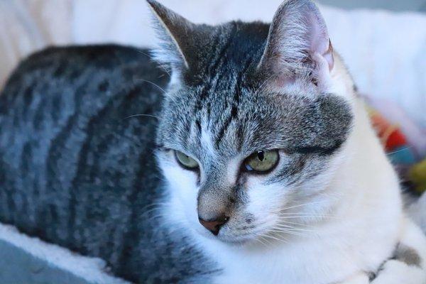 Mr Mo is relaxed after so much fun and happy playtime.