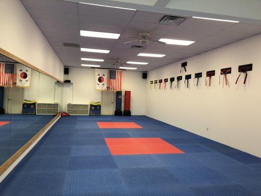 Master Shin's Academy Tae Kwon Do