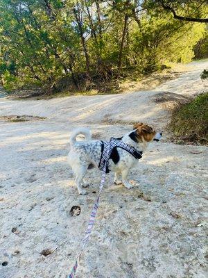 Mary Moore Searight Metropolitan Park