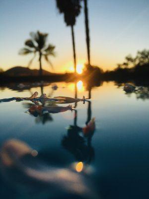 View from the house she sold.