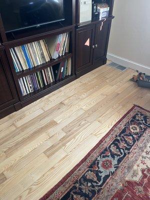 Gemini Floor Services