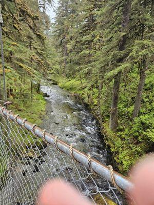 Sled Dog Discovery & Musher's Camp