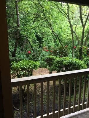 Forest Rim Apartments