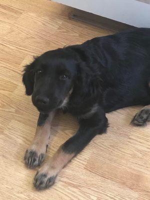 Orange Veterinary Clinic