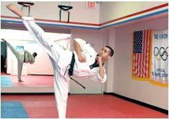 International Martial Arts