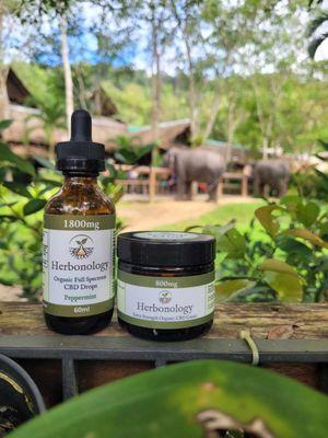 CBD Tinctures for anxiety, depression, and pain relief. CBD topicals for targeted pain relief and inflammation.