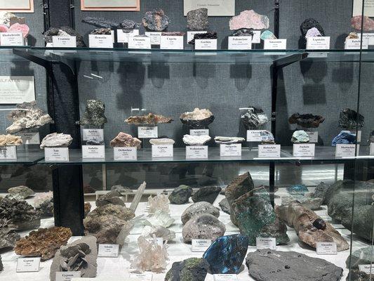 Sierra College Natural History Museum