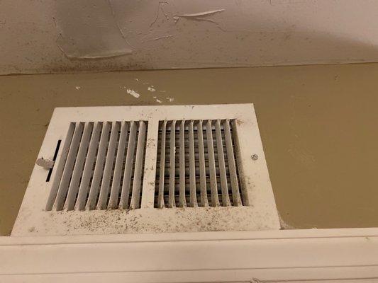 Mold coming out of A/C vents?