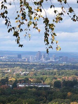 Hollister Preserve & Whitehouse Family Nature Preserve