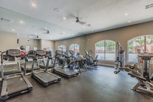 Fitness center with professional equipment.