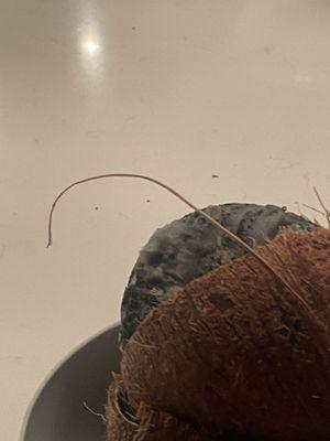 Ridley's Family Market