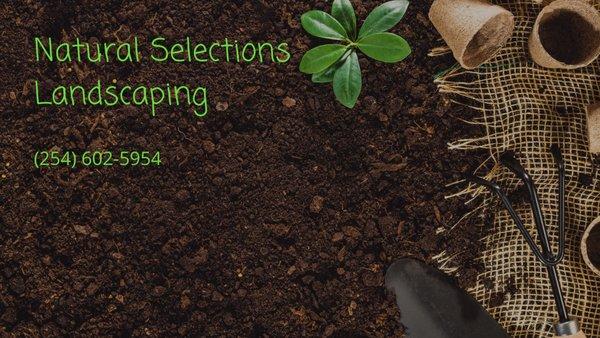 Natural Selections Landscaping