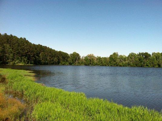 Mayors Fishing Hole