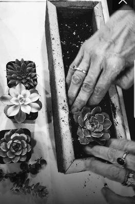 Workshops & classes #PlantCoParty