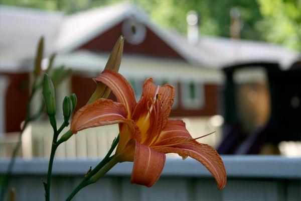 Montessori Children's Room