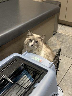 Sugar House Veterinary Hospital