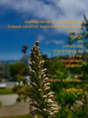 ..sigh.. the Flow Is