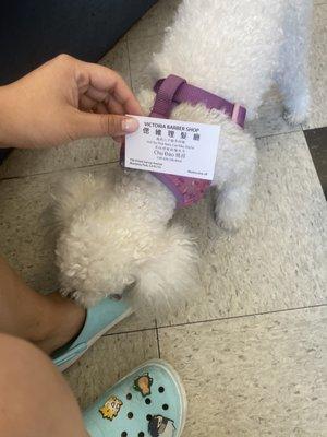 Victoria Barber Shop