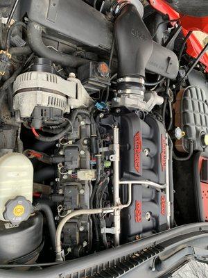 Elite Speed and Performance