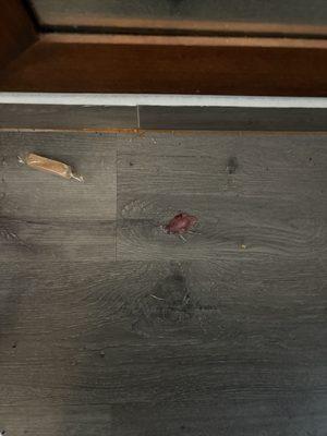 This was behind our ottoman by the mirror