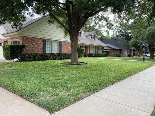 After shrubs, and lawn maintenance