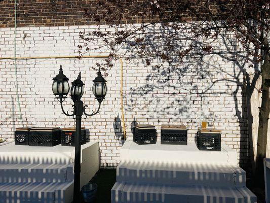 It's always sunny in...